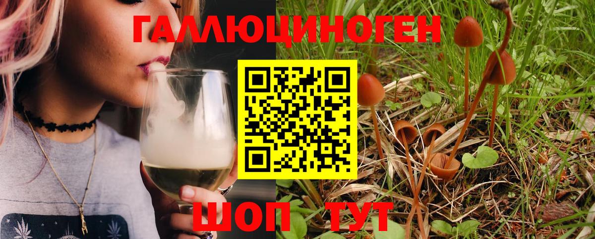 Галлюциногенные грибы MAGIC MUSHROOMS Павлово